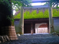 和釘